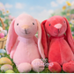 Personalized Plush (Like Squish mellow) Easter Bunny