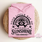 Your Little Ray Of Sarcastic Sunshine Has Arrived Hoodie