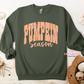 Pumpkin Season Apparel(t-shirt or crewneck sweatshirt or hoodie)