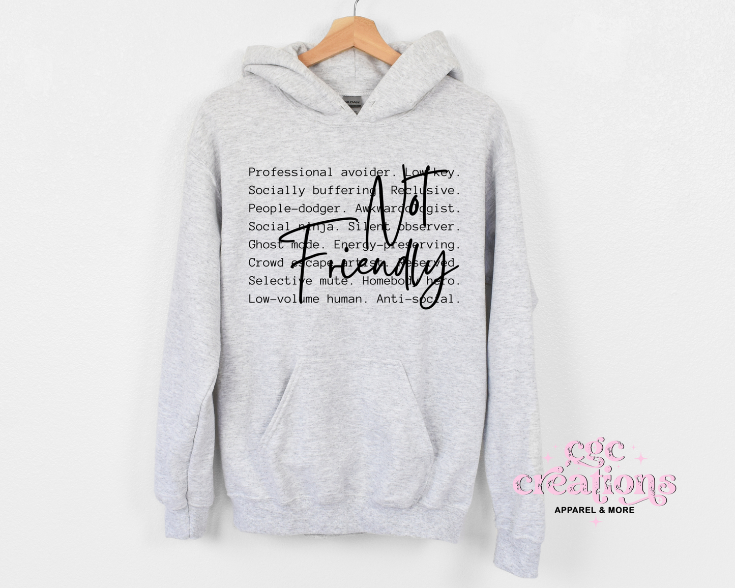 Not Friendly Definition Hoodie