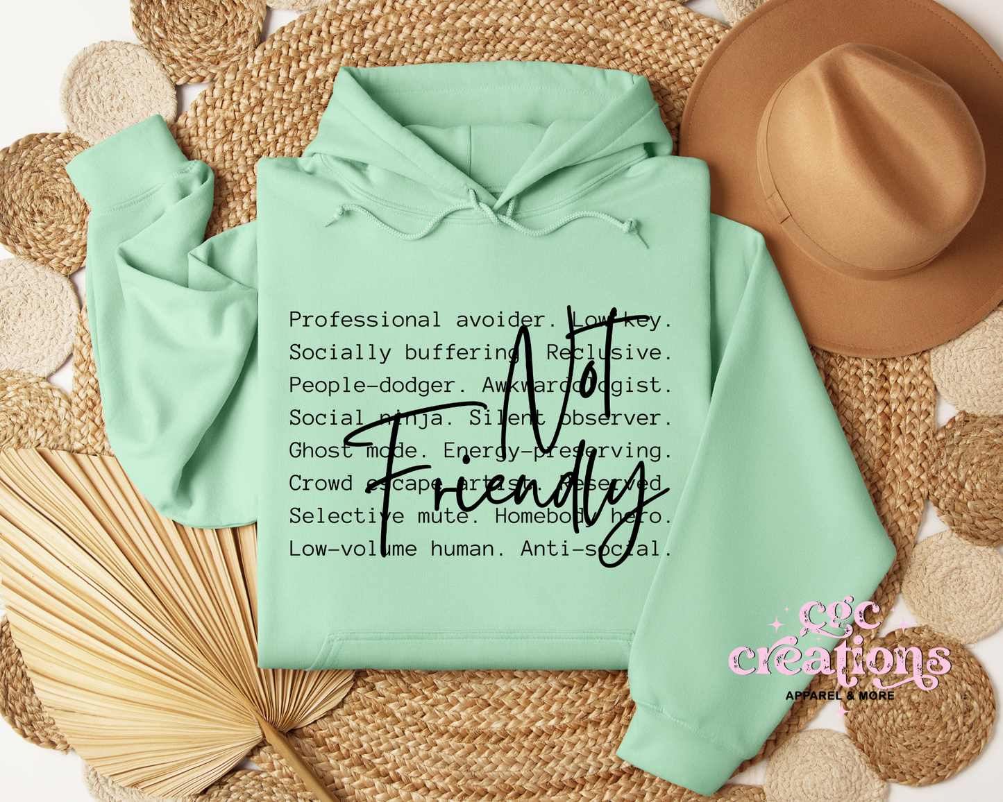 Not Friendly Definition Hoodie