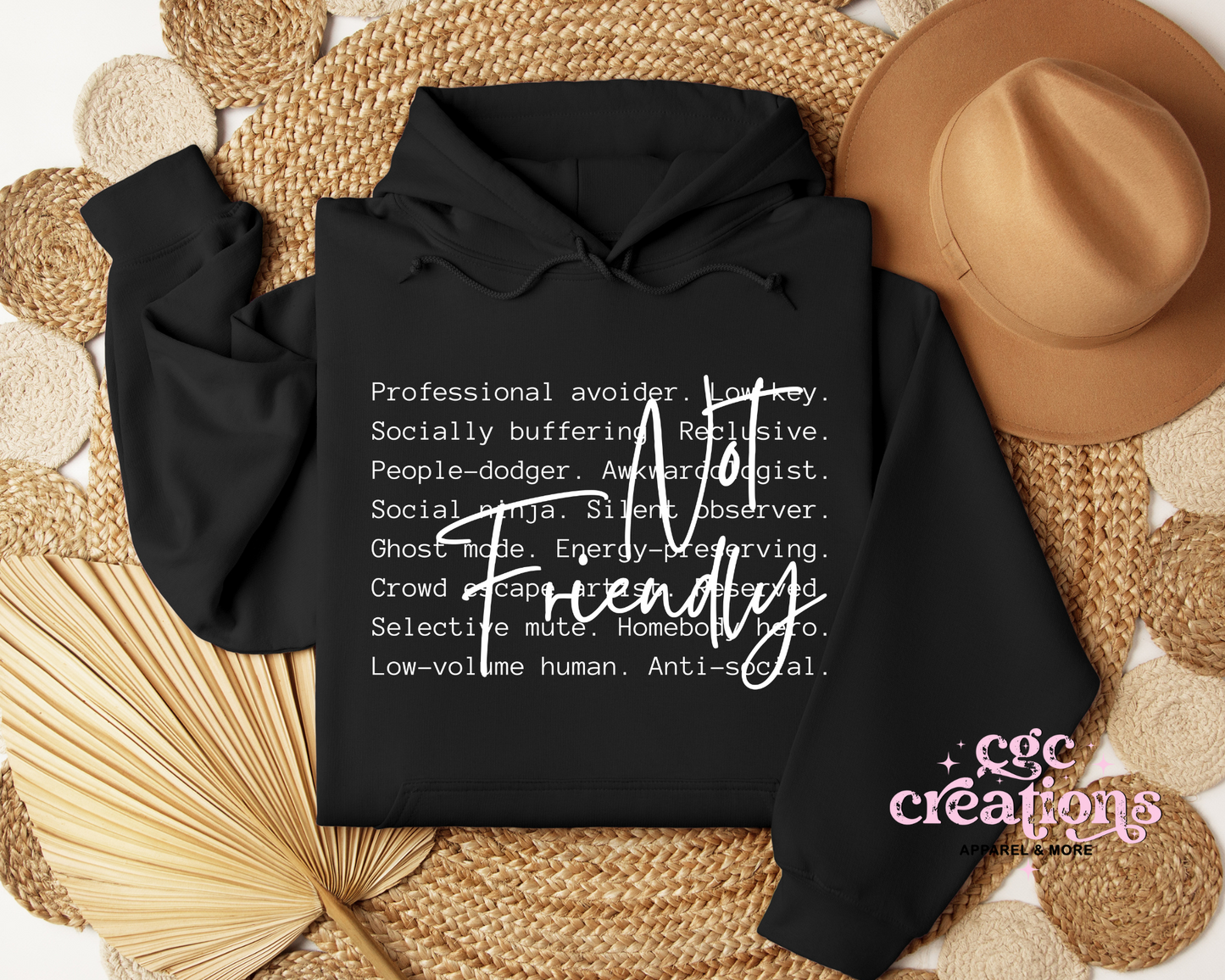 Not Friendly Definition Hoodie