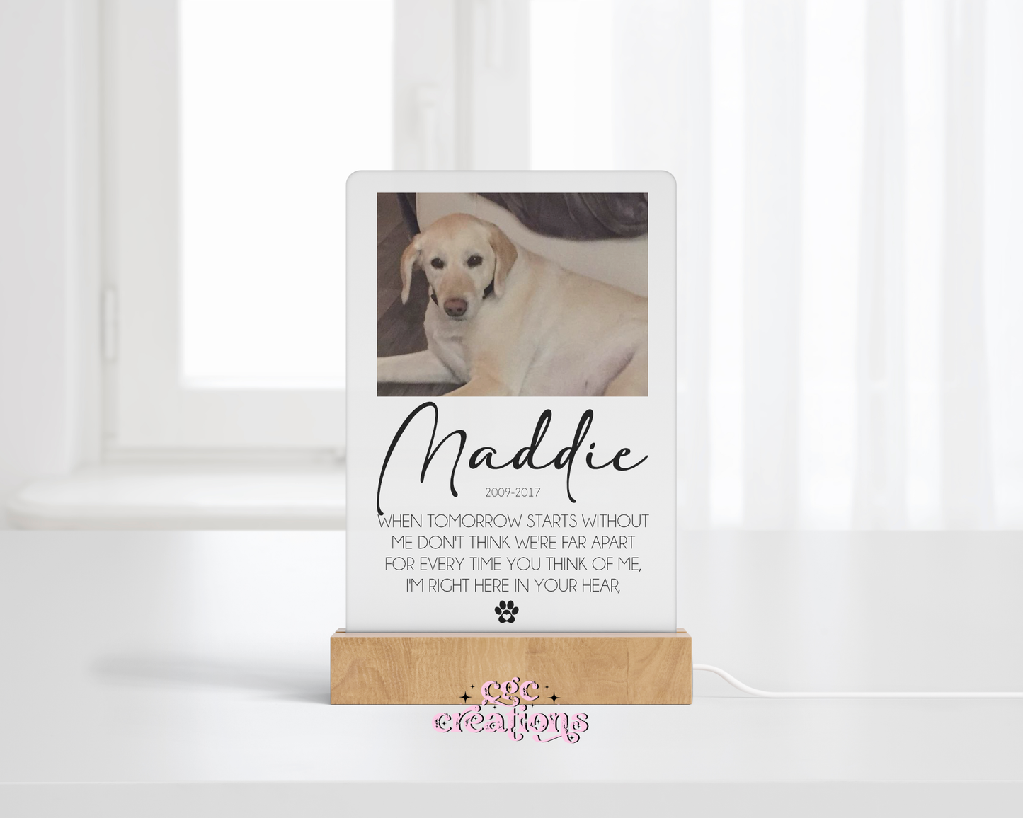 Pet Memorial LED Night Light